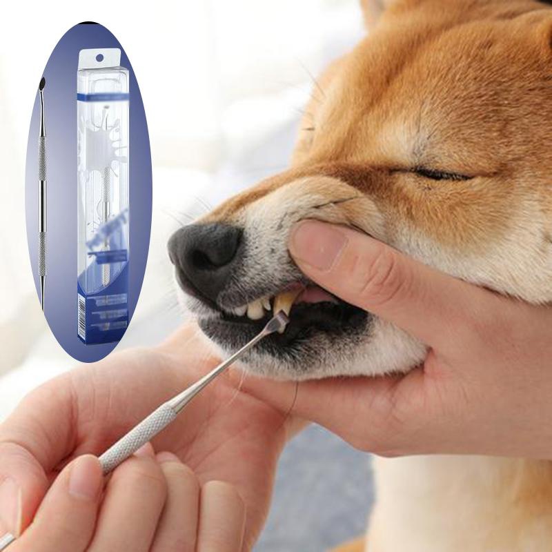 dog teeth cleaning tools
