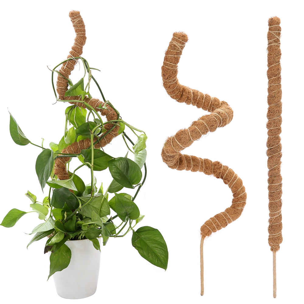 Plant Moss Coir Pole Bendable Plants Climbing Support Extension Palm Vines  Stick Indoor Balcony Garden Courtyard Flower Decor