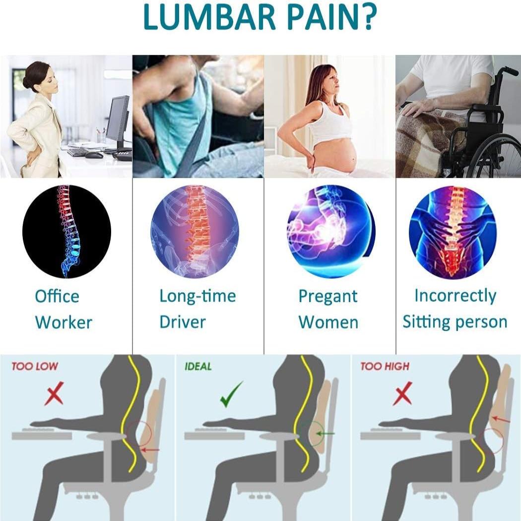 Chair Lumbar Support Back Cushion Lower Back Pain Relief for Computer  Office Study Recliner Wheel Chair Car Seats