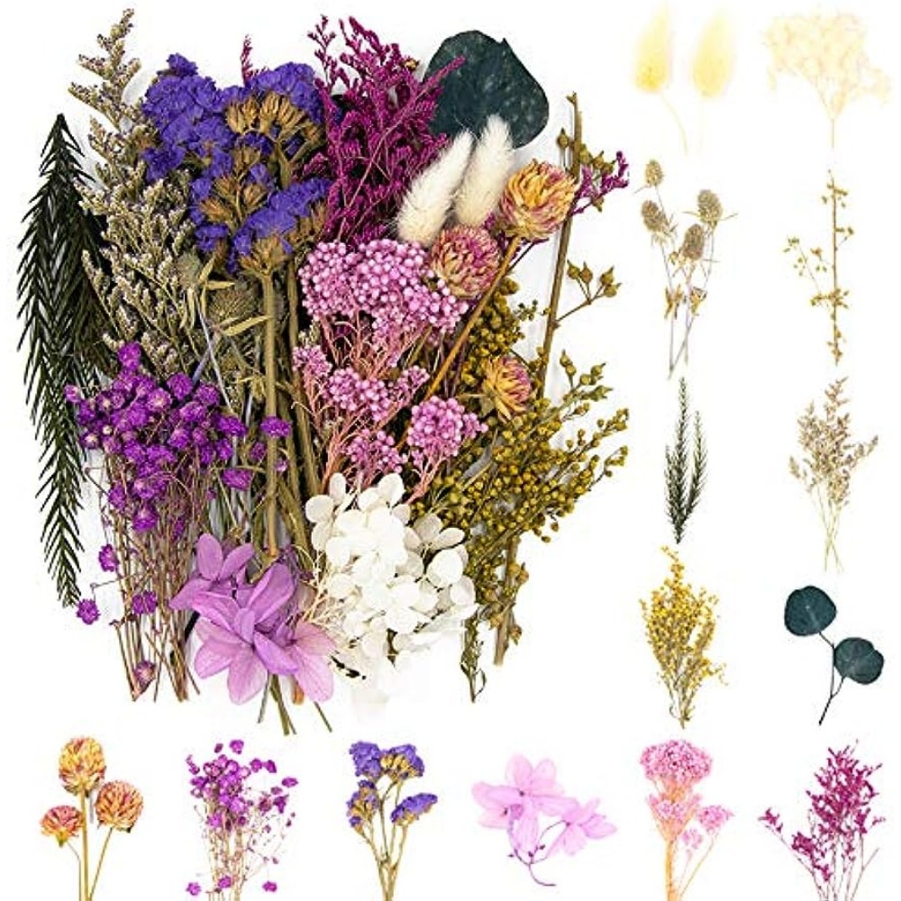 1 juego/15 piezas de flores secas en relieve de muículas de plantas  naturales DIY álbum de recortes flores secas para flores secas de resina,  arte de
