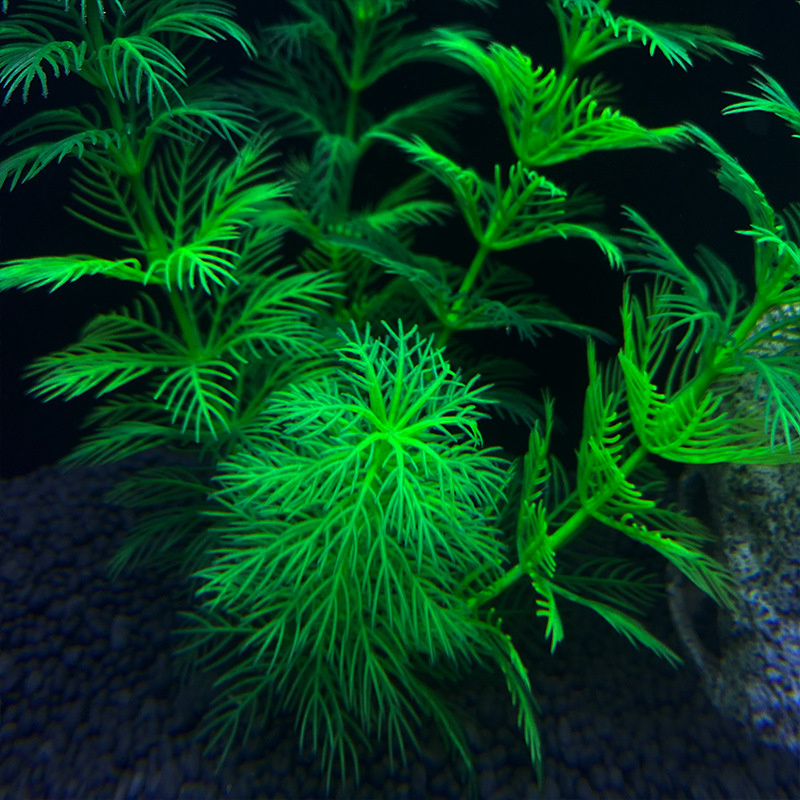Artificial Fish Tank Water Grass Plastic Aquarium Ornament