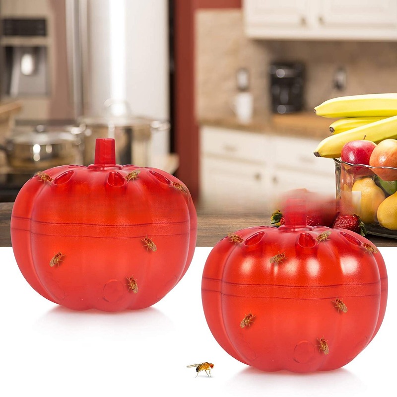 Indoor Fruit Fly Killer And Built-in Window Trap - Pumpkin Fruit Fly Flying  Insect Trap Without Fruit Fly Trap - Temu