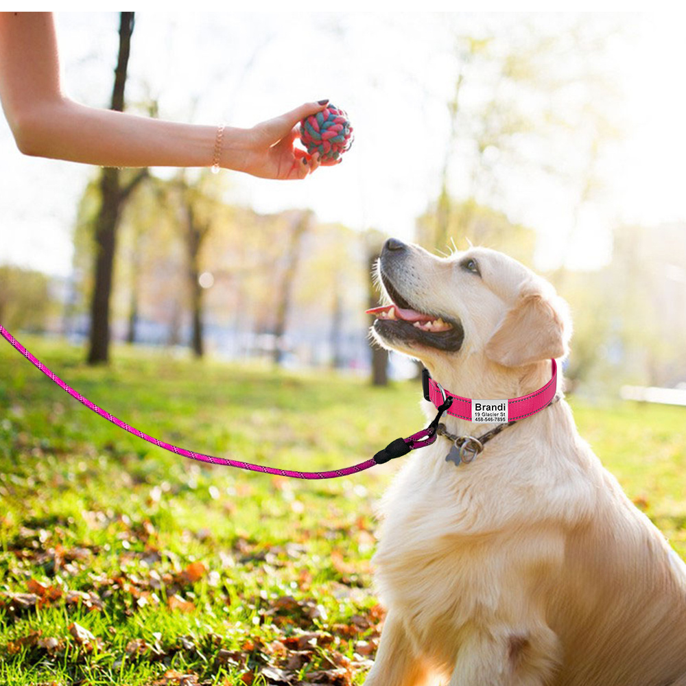 Monogram Dog Harness And Leash Set