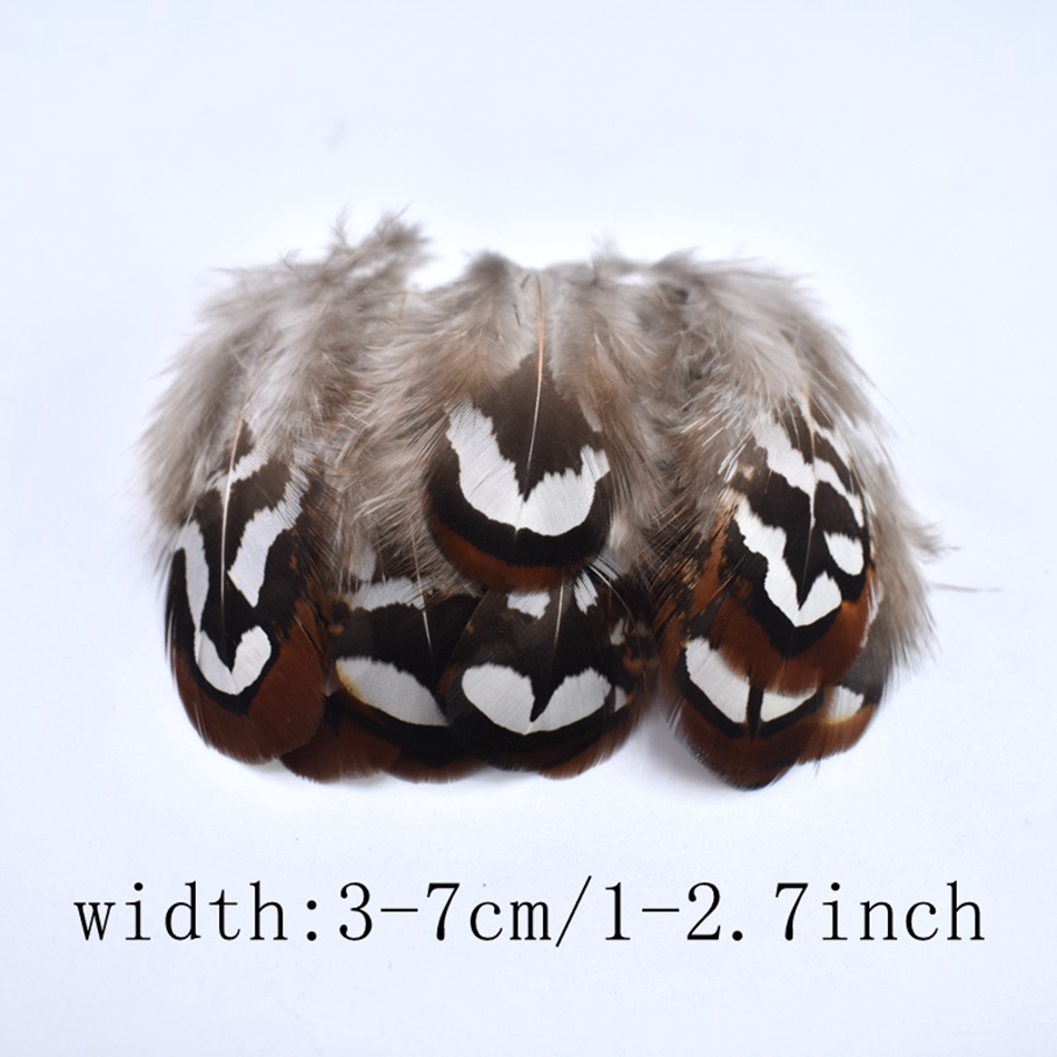 Natural Colored Pheasant Feathers Crafts Diy Handwork Plume - Temu