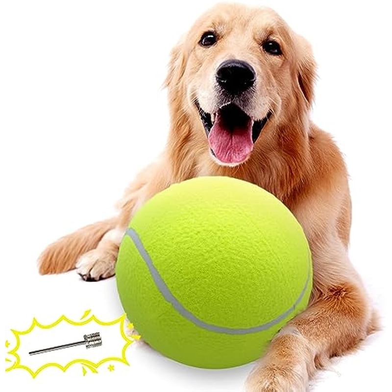 Balle de tennis : Un jouet ou un danger pour votre chien ?