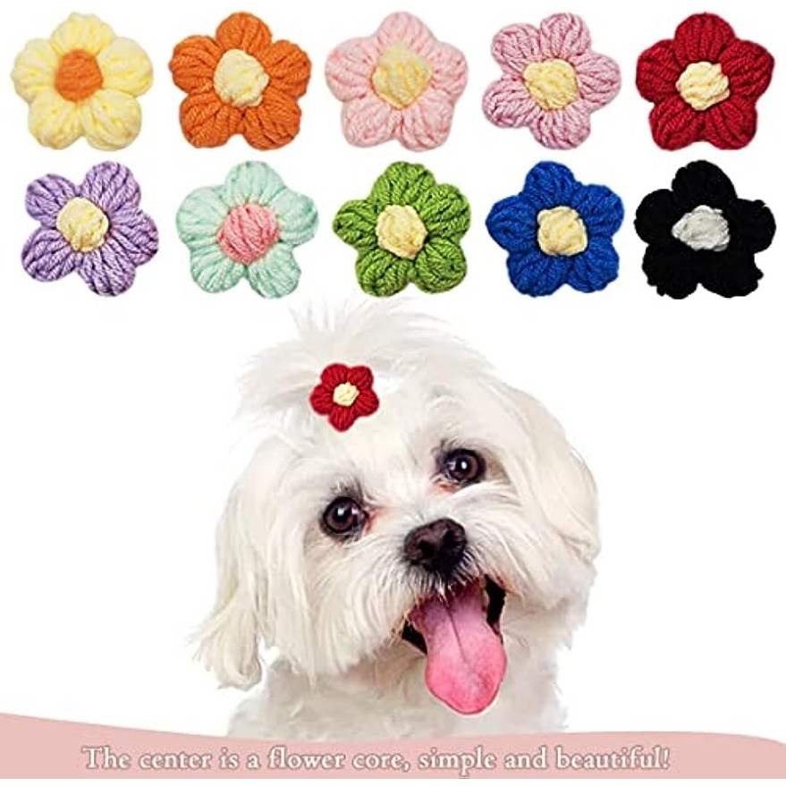 Boy dog best sale hair clips