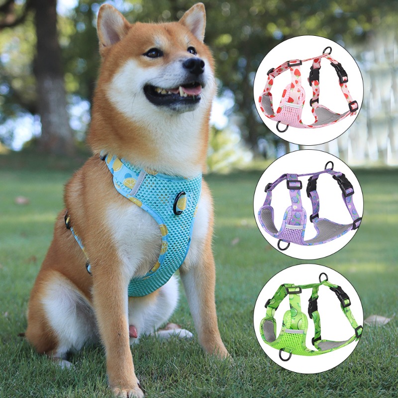  Dog Harness Double Layers Adjsutable Breathable Mesh  Reflective Escape Proof Easy Control Handle Vest for Outdoor Hiking (M) :  Pet Supplies