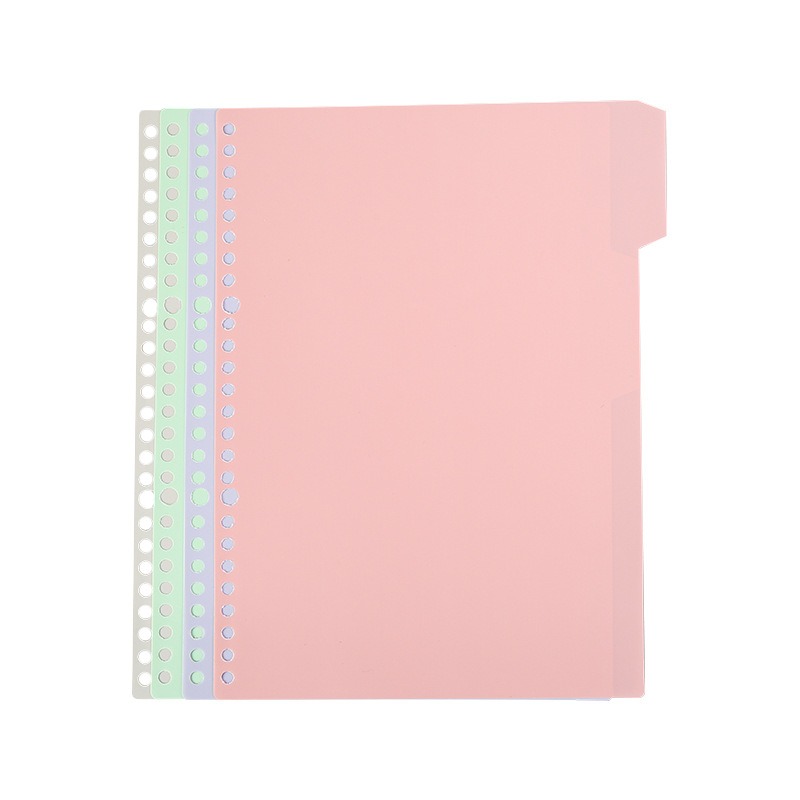 Today Page Marker for Ringbound Planners in Clear, Frosted