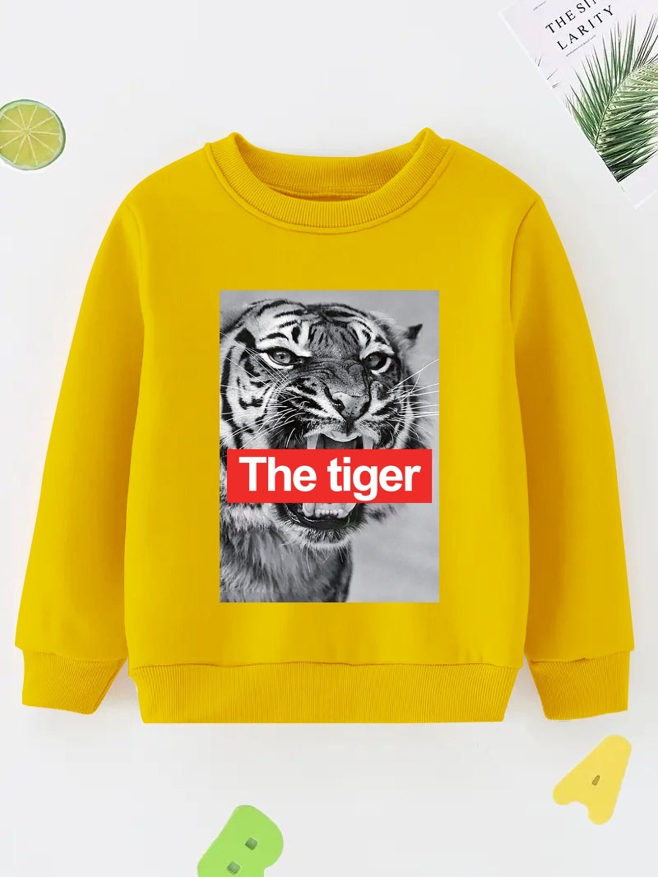 Boy's 3d Tiger Print Sweatshirt Spring Autumn Kids Clothing - Temu 