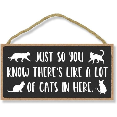Cat Lives Here Signs Temu Cat Lives Here Signs Temu