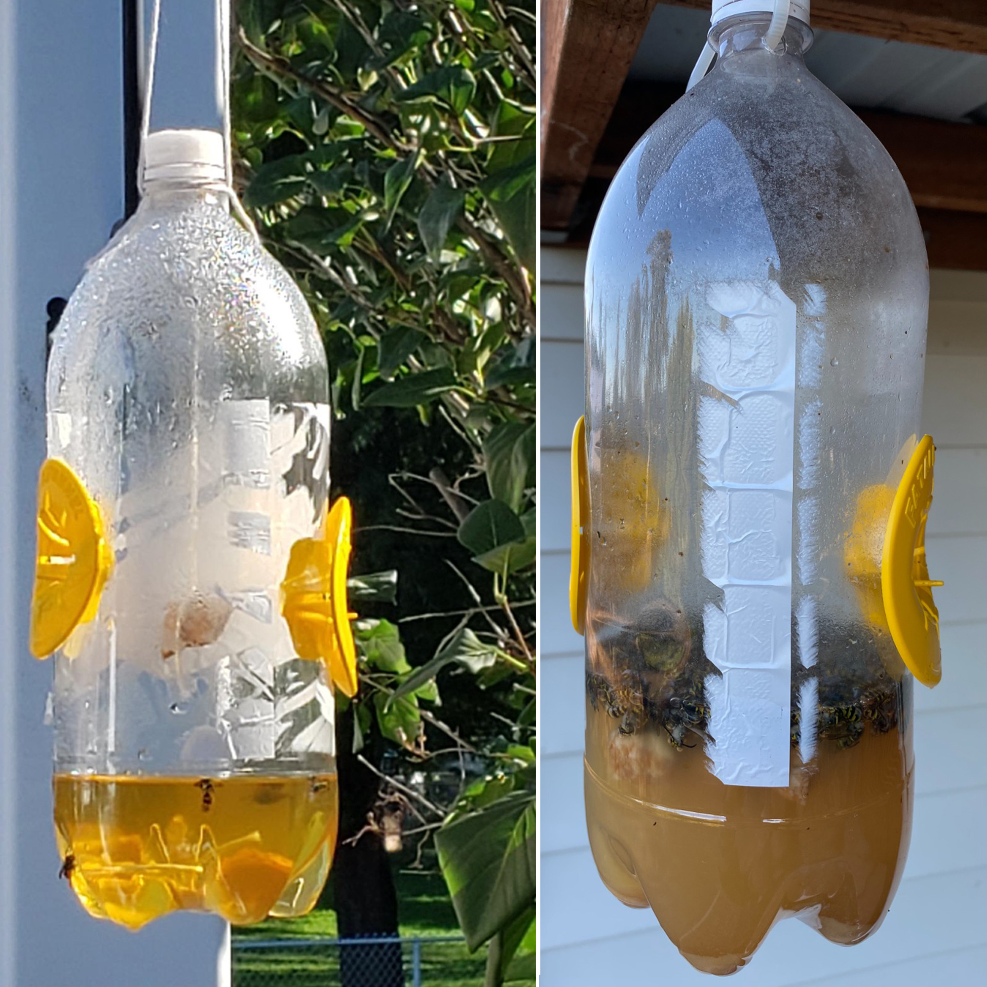 How to Make a Fly Trap From an Empty Soda Bottle