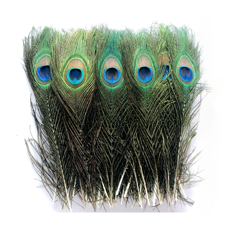 10pcs/lot Natural Rare Peacock Feathers Eye Feathers For Crafts Decoration  Pheasant Feather Decor Carnival Accessories Plumes, Today's Best Daily  Deals
