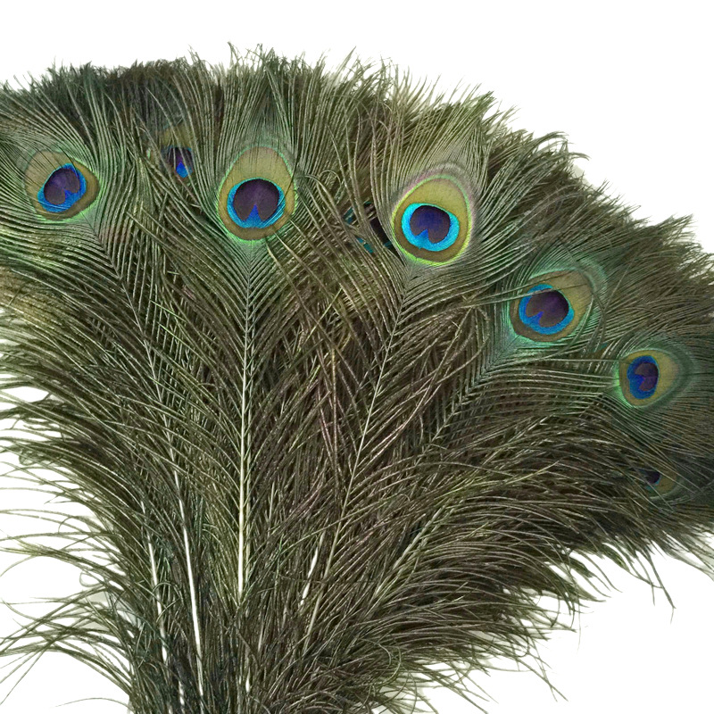 Поделки из перьев птиц своими руками: лучшие фото