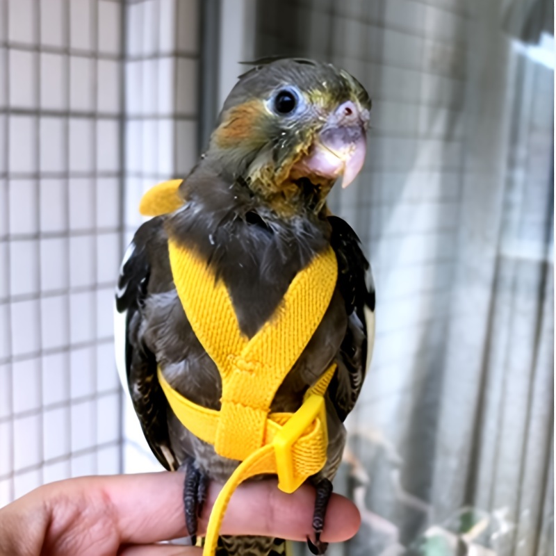 Harnesses For Parrots - Temu