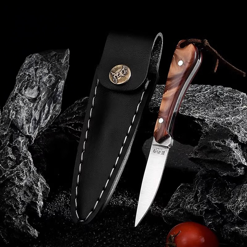 Fruit Knife, Ultra Sharp Meat Cutting Knife, Outdoor Portable