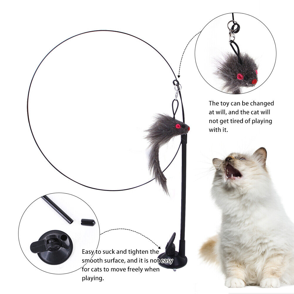 Suction Cup Cat Toys, Cat Toys Interactive Wand Feather Cat Toy With Bell,  Interactive Cat Teaser Wand Cats Toys For Indoor Play Toy - Temu