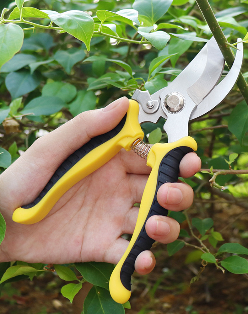 Cesoie Da Potatura Da Giardino 1pc, Cesoie Da Giardino Per Tagliare Piante,  Raccolta Frutta, Forbici Da Fiorista, Cesoie Manuali Antiscivolo