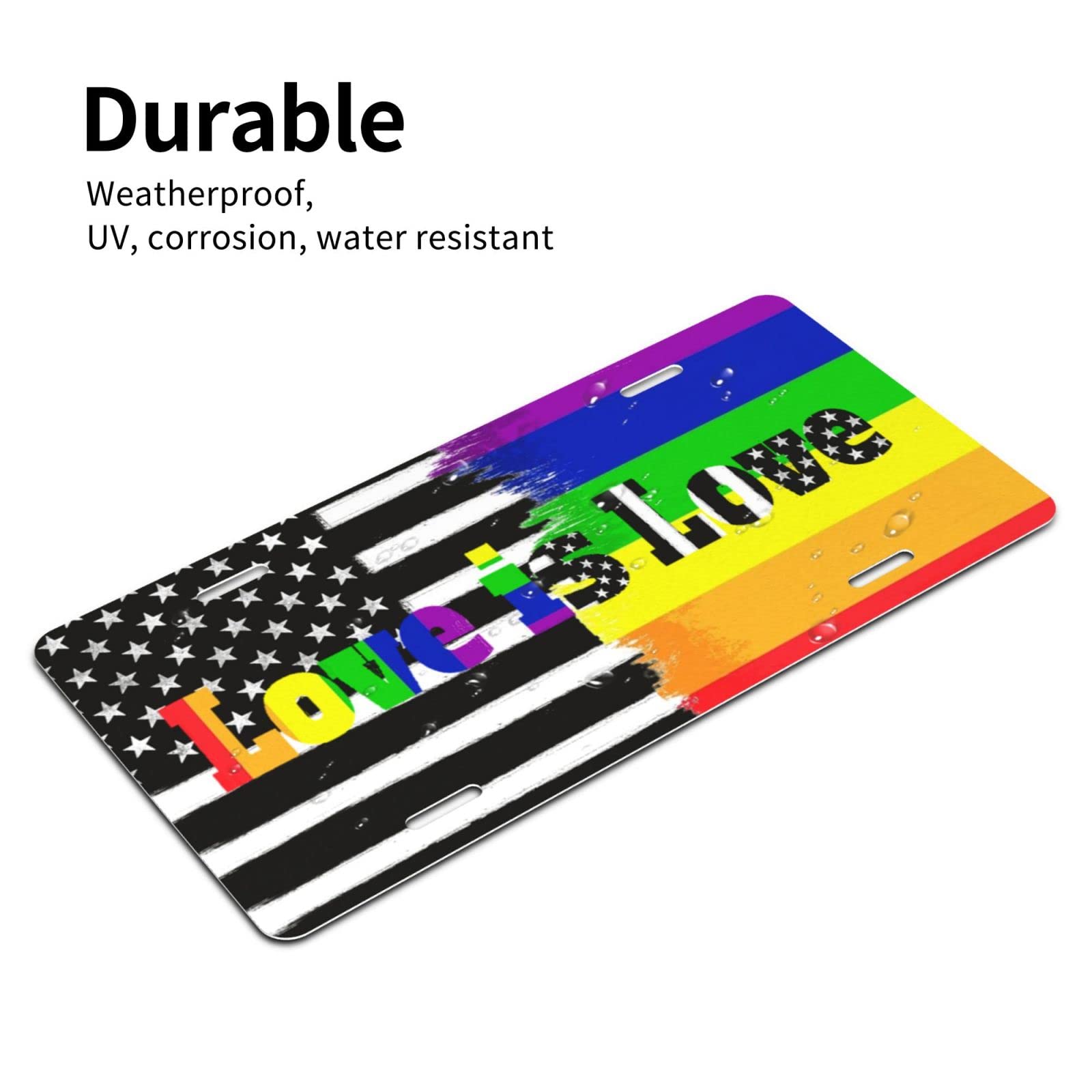  Marco para placa de matrícula Gay Pride – Paquete de 2 placas  de matrícula de metal de aluminio Rainbow LGBTQ soporte para placa de  matrícula novedosa etiqueta de automóvil universal con