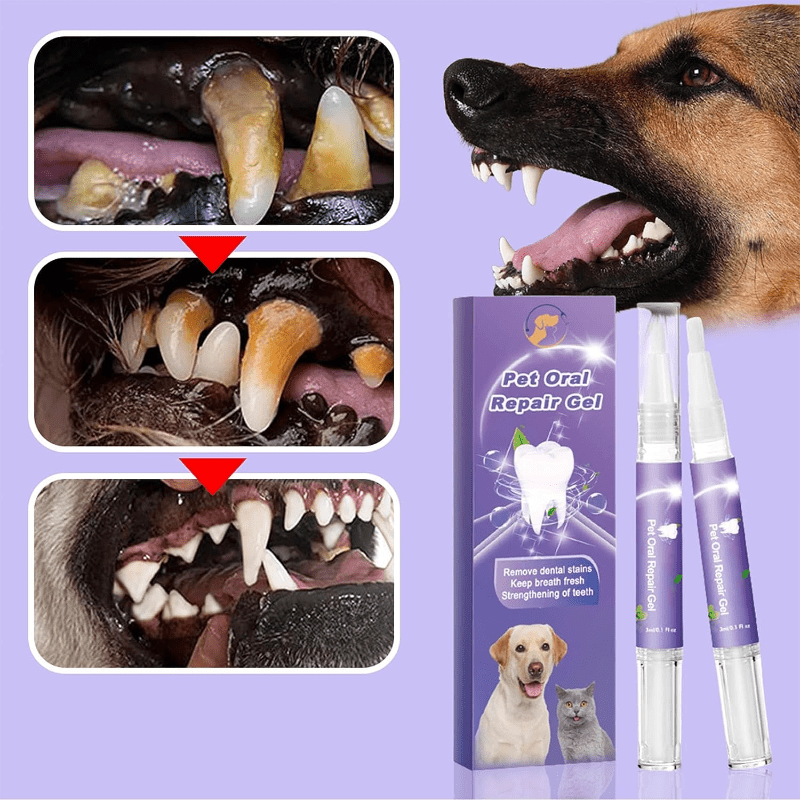dog teeth cleaning tools