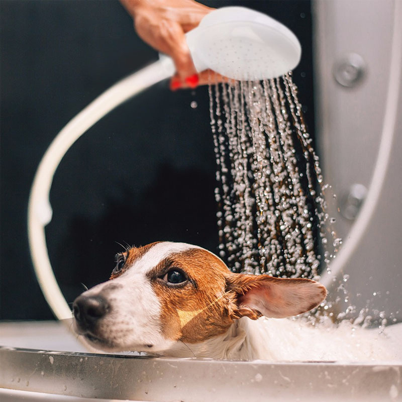 Multi functional Dog Shower Attachment Pet Shower Head - Temu