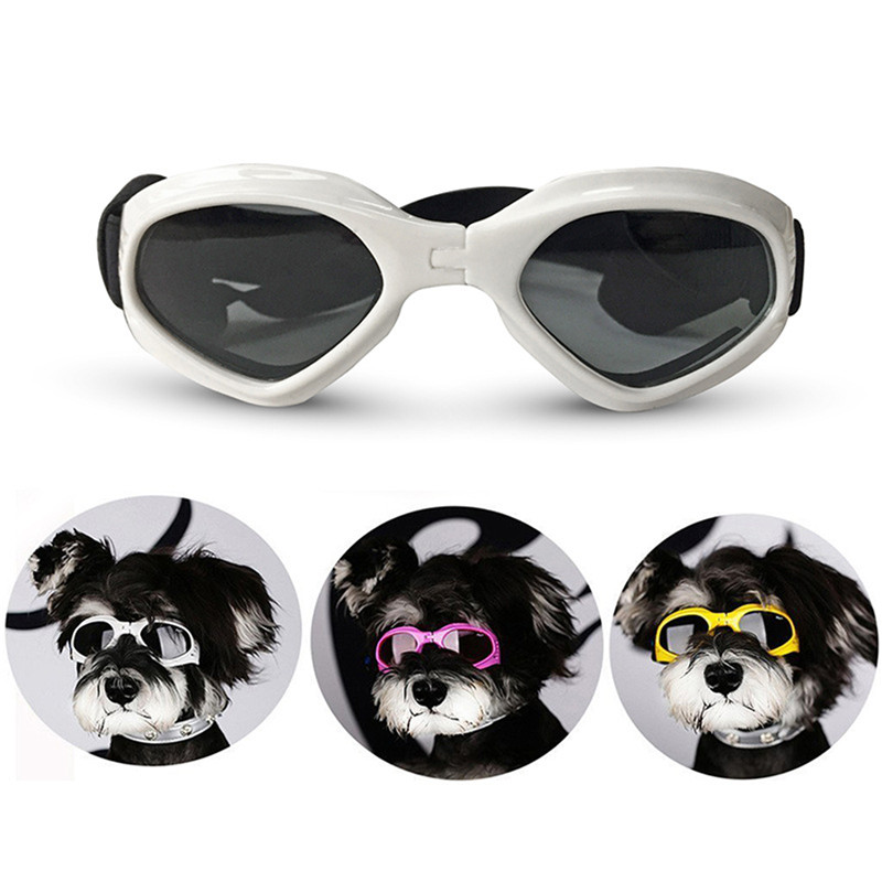 Dog store grooming goggles