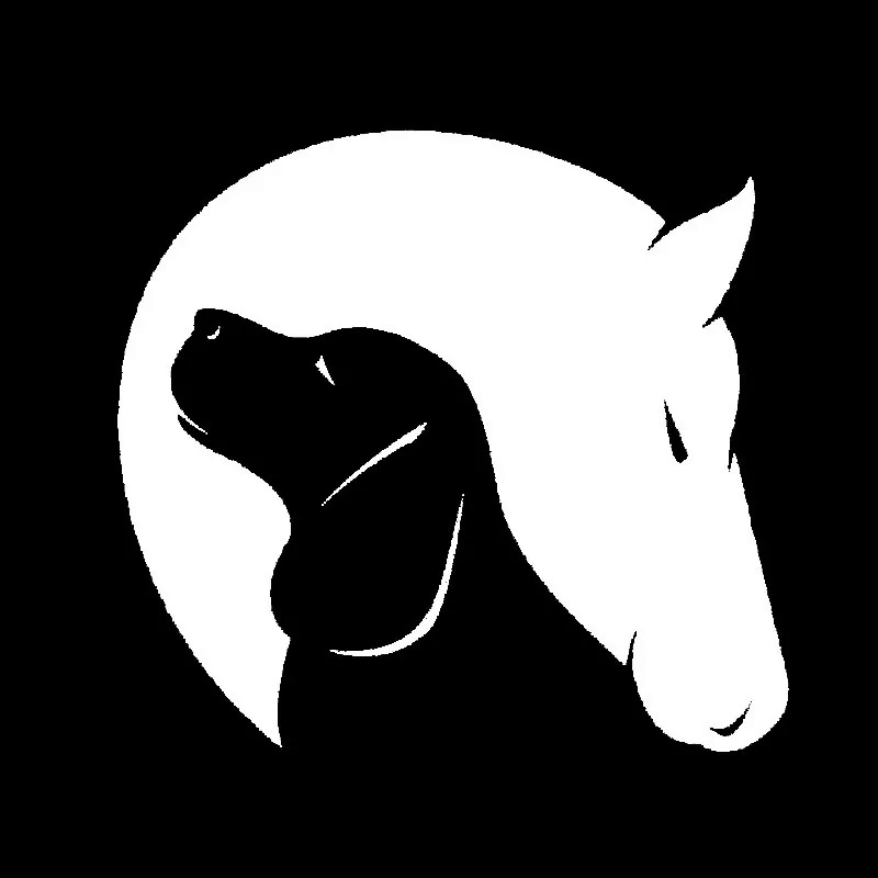 Pferdewagen Aufkleber - Kostenloser Versand Für Neue Benutzer - Temu Austria
