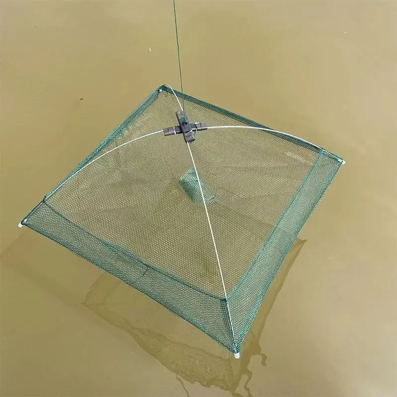 Square Open Fishing Net Cage Fishing Accessories - Temu