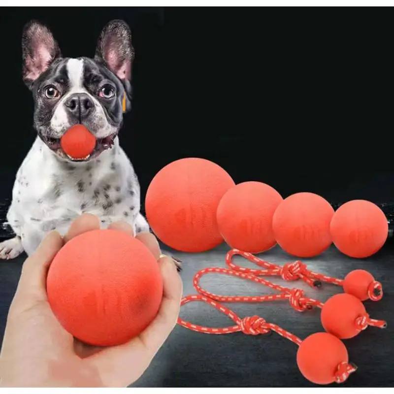 Dog Training Interactive Bite Resistant