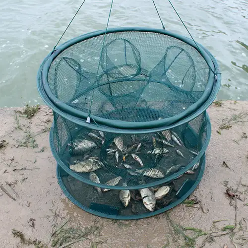 Filet de Pêche Pliable Piège à Crabe 60cm Cage à Poisson en Nylon Piège à  Poisson