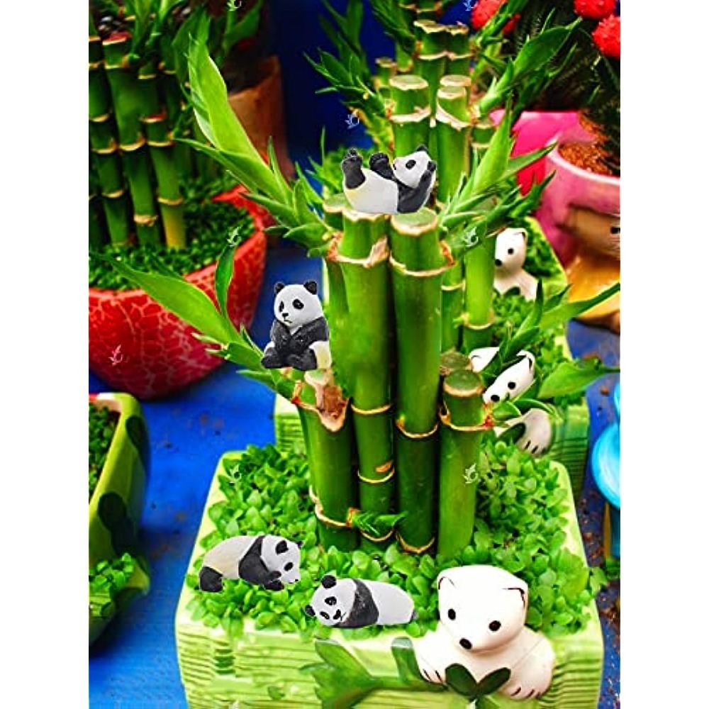 cobee Niedliche Panda Tortenaufleger Ornamente, 8 Stück Cupcake Figuren Ornamente  Panda Gartenpuppe Aquarium Dekoration Spielset Niedliche Figuren Party  Dekor: : Spielzeug