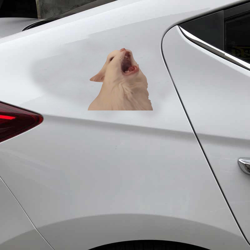 LAD Studio White Cat Screaming Meme Sticker Vinyl Bumper Sticker Decal  Waterproof