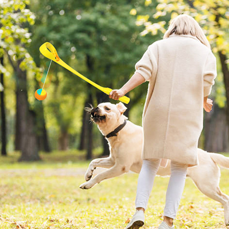 pet toys dog throwing stick with