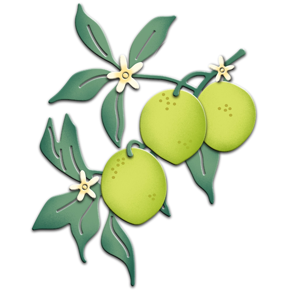 Lemon And Lime Slices Pattern - Kids Leggings – A Little Leafy