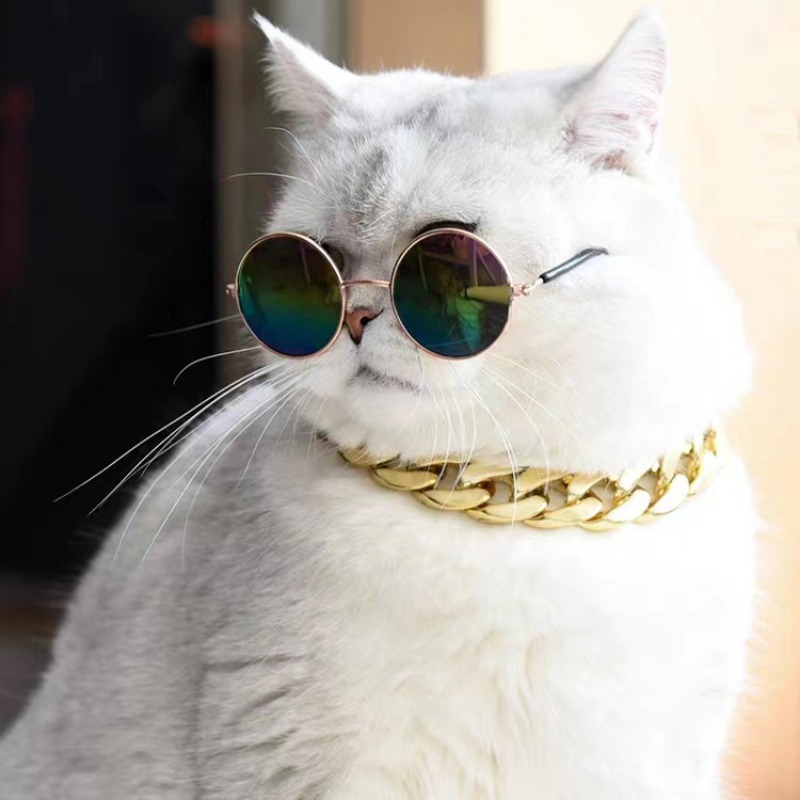 Buy Photo Pet Necklace | Custom Dog Necklace | Personalized Cats Pendant –  Pendantify