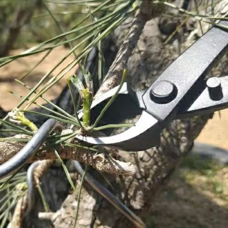 Tijeras Poda Ramas Frutas Poda Alta Poda Fuerte Tijeras - Temu Spain