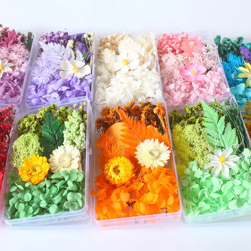 Dried Everlasting Flowers Diy Material Kit Dried Flowers - Temu