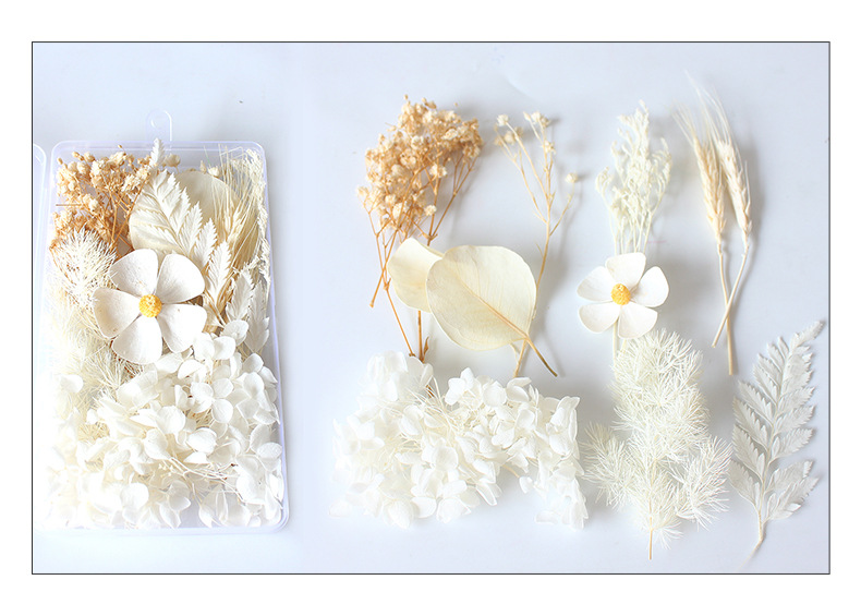 Dried Everlasting Flowers Diy Material Kit Dried Flowers - Temu