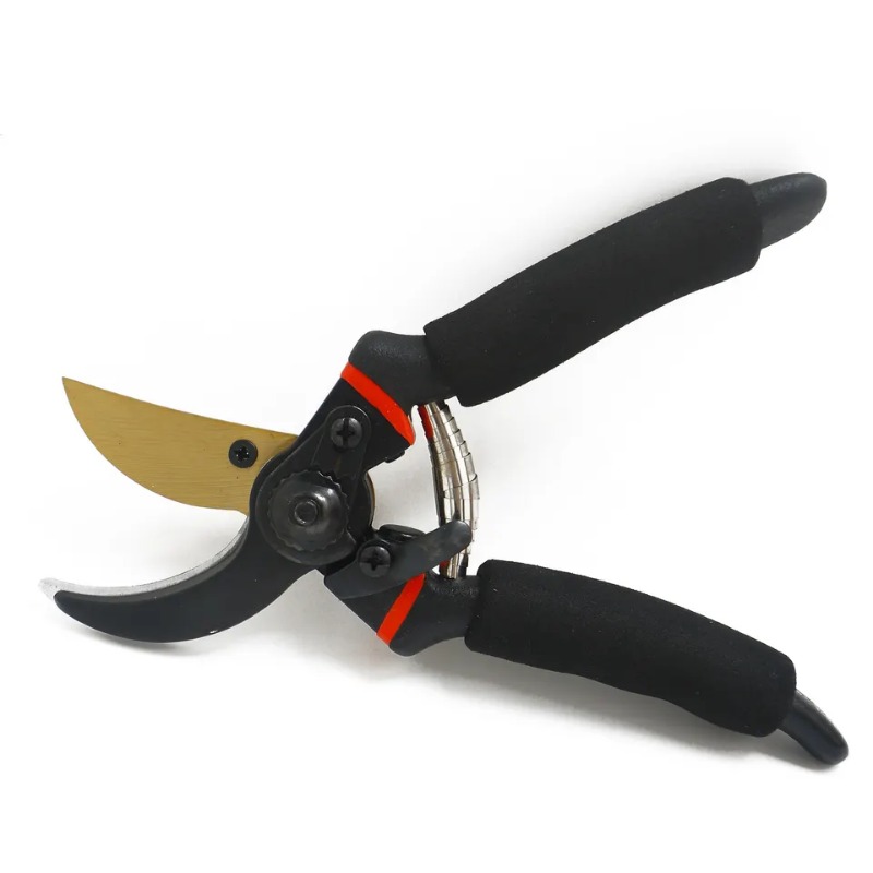 Professional Garden Pruning Shears, Garden Scissors, Garden Shears Pruning,  Garden Tools, Gardening Shears, Ideal For Fruit Tree Trimming And Flower  Arranging - Temu