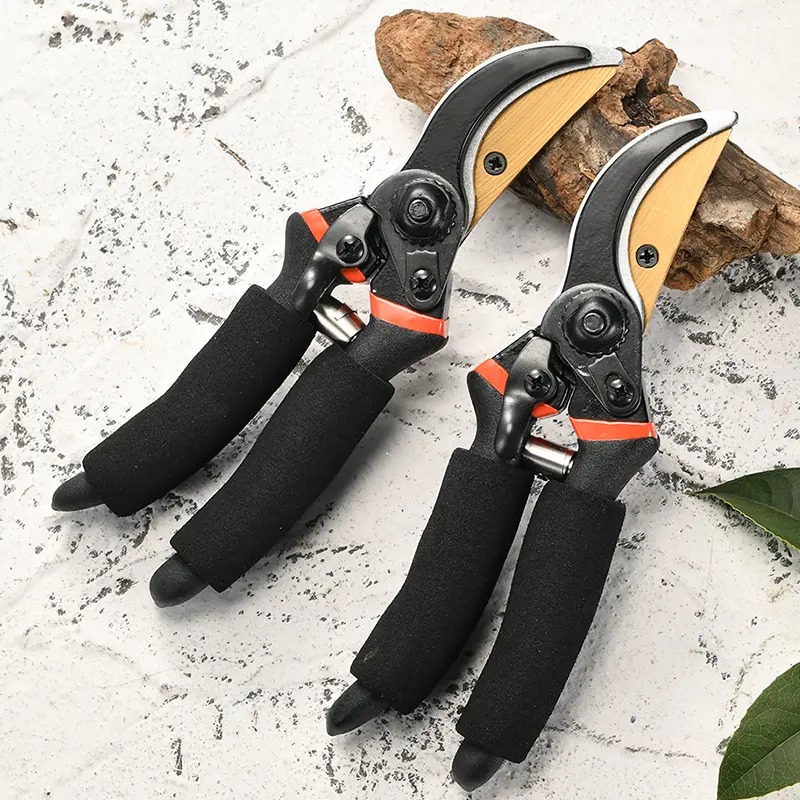 Professional Garden Pruning Shears, Garden Scissors, Garden Shears Pruning,  Garden Tools, Gardening Shears, Ideal For Fruit Tree Trimming And Flower  Arranging - Temu