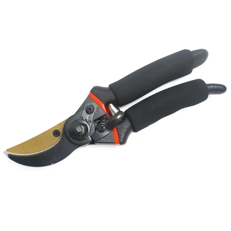 Professional Garden Pruning Shears, Garden Scissors, Garden Shears Pruning,  Garden Tools, Gardening Shears, Ideal For Fruit Tree Trimming And Flower  Arranging - Temu