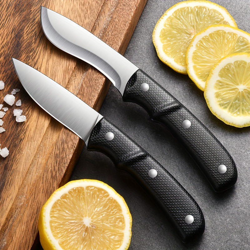 Stainless Steel & Plastic Fruit Cutting Knife, For Home