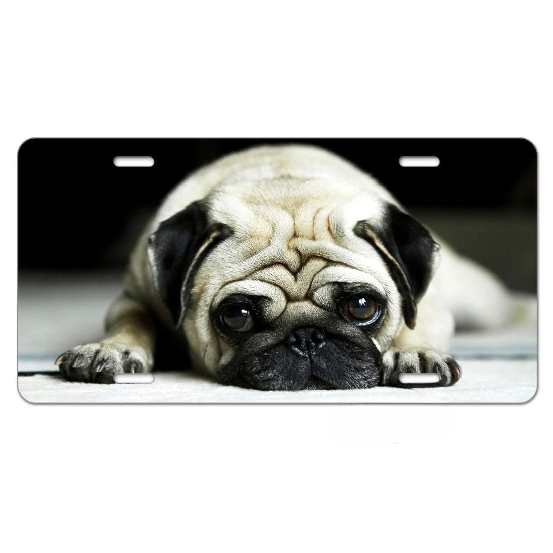 Pug shop license plate