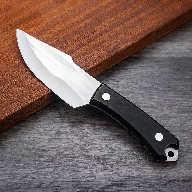 Outdoor Fruit Knife, Small Kitchen Knife, Kitchen Slicing Knife, Outdoor  Small Knife L9195 - Temu