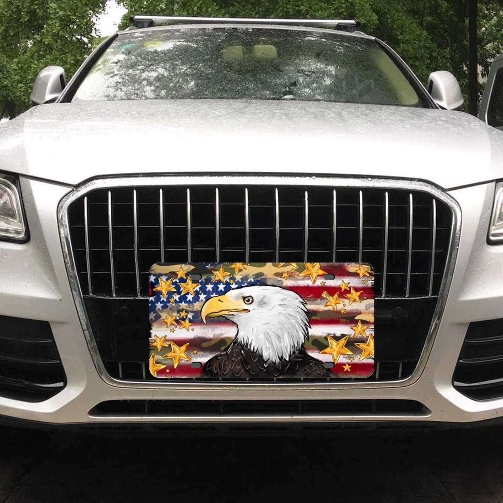 Car Tag Plate Aluminum American Patriotic Eagle License Plate Teal With 4  Holes Car Accessories For Men Women - Temu