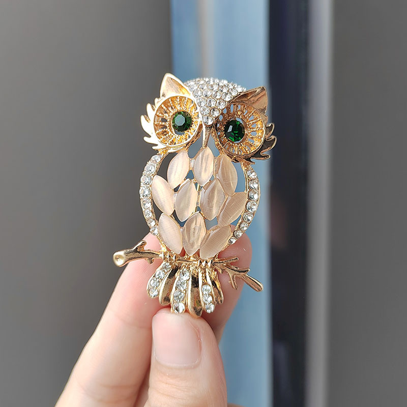 Vintage Owl Eyes Scarf Buckle Brooches Pins Hollow Crystal Animal Eye  Brooch Pin Scarf Clips For Women Christmas Gifts Broche - AliExpress