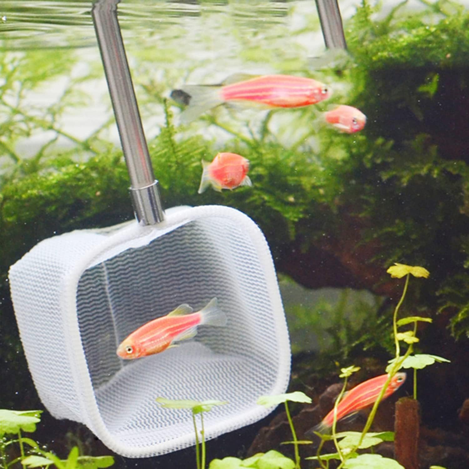 Adjustable Mini Fishing Net Pole For Aquarium Tank Shrimp Expandable  Stainless Steel Handle Fishing Net