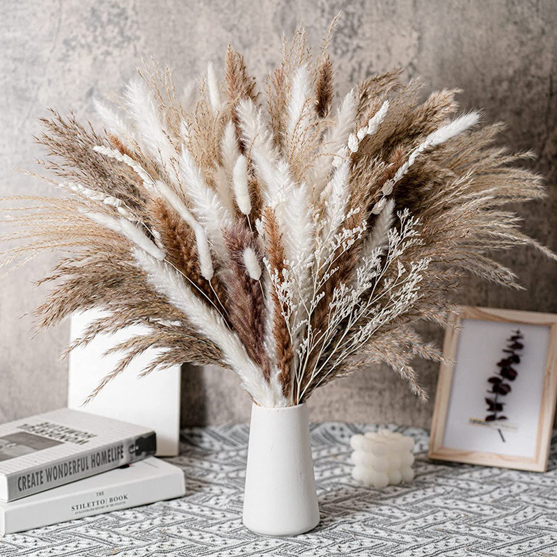Dried Plants Pampas Grass and Flower