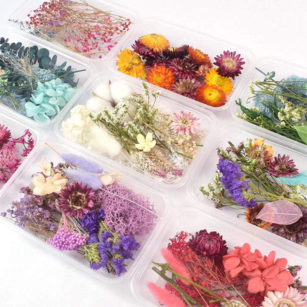 1 caja Real Mix Flores secas para joyería de resina Plantas secas Flores  prensadas DIY