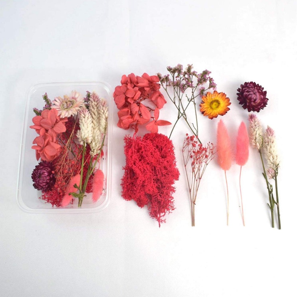 Diy Real Natural Dried Flowers Artificial Plant For Candles Mold Epoxy  Resin Aromatherapy Decoration Handmade Crafts Accessories - Dried Flowers -  AliExpress