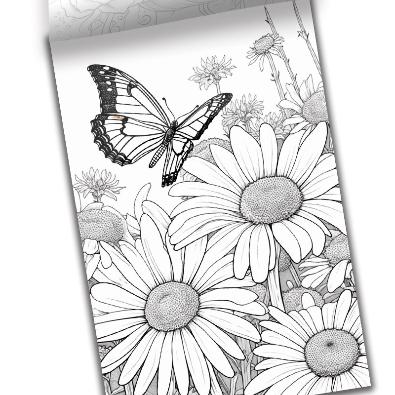 Butterflies Adult Coloring Book For Women: Big Coloring Book for Adults  Teen To Stress Relief , Perfect Gift For Him Her Men Women Mom And Dad For  Chr - Literatura obcojęzyczna 